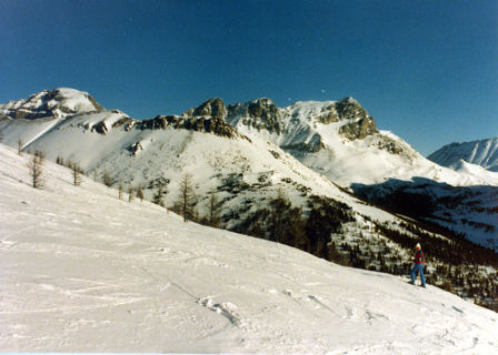 Ski Area