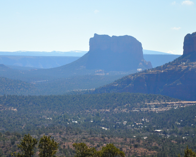 Coconino