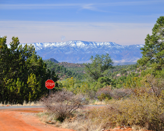 Coconino