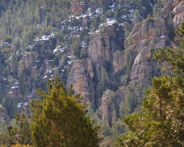Coconino