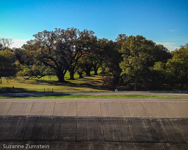 Oak Alley