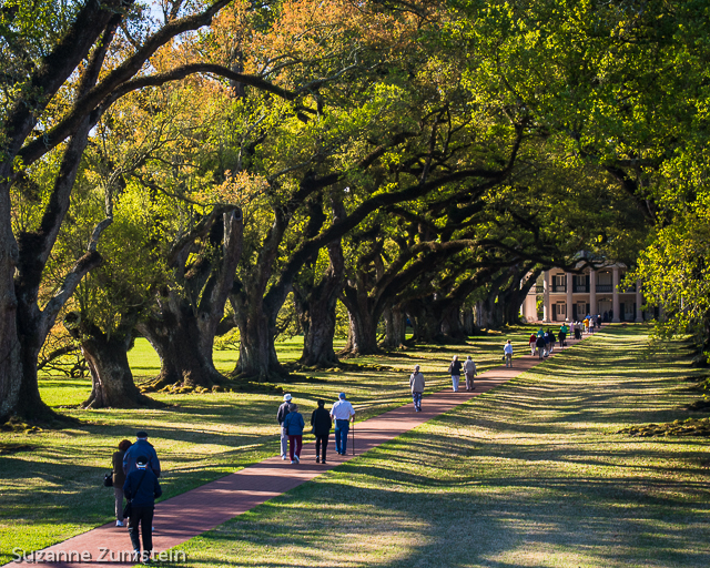 Oak Alley