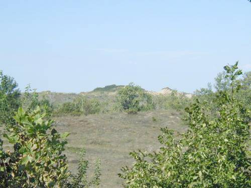 The Sleeping Bear dune