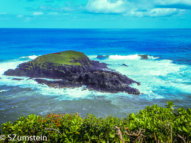 Kilauea Point