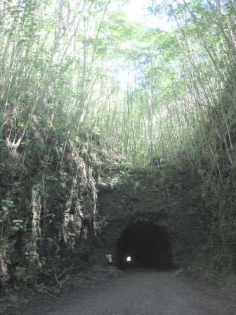 Tunnel entrance