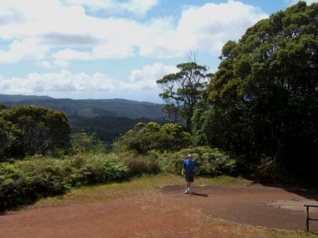 A view facing inland