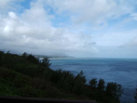 View from Kilauea Point