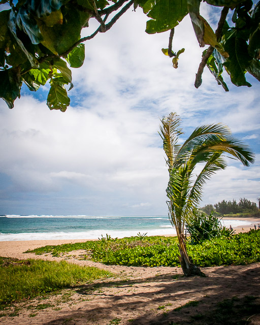 Kauai