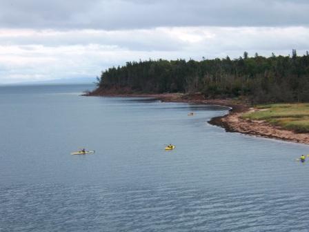 Kayakers