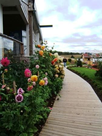 boardwalk with flowers