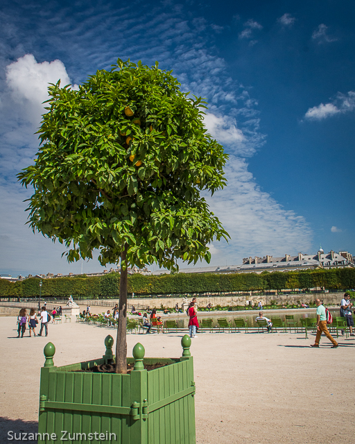 Tuileries