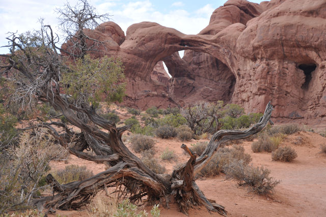 Arches National Park