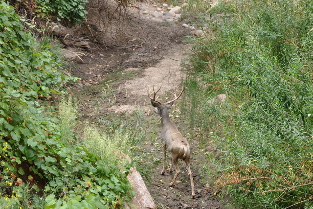 Zion national Park