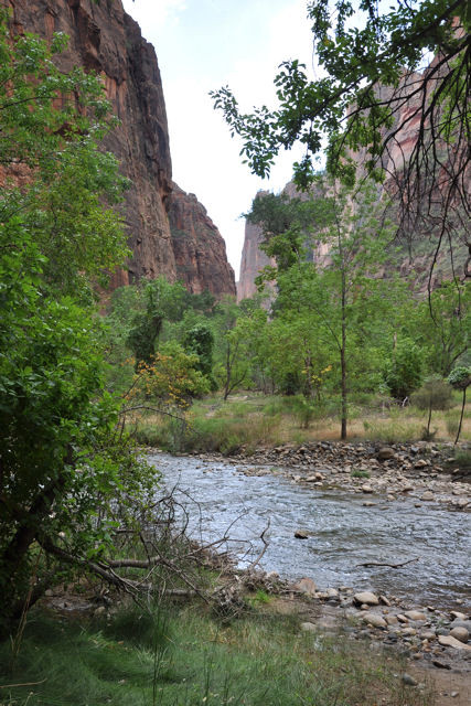 Zion national Park