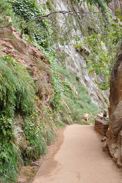 Zion national Park