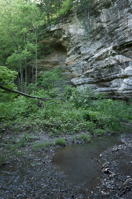 Starved Rock