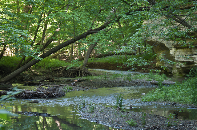 Starved Rock