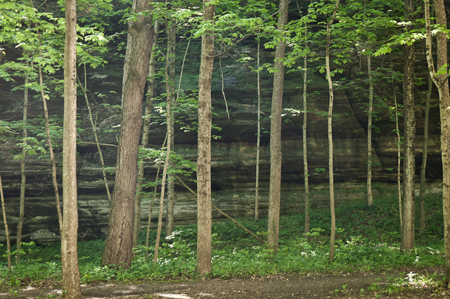 Starved Rock