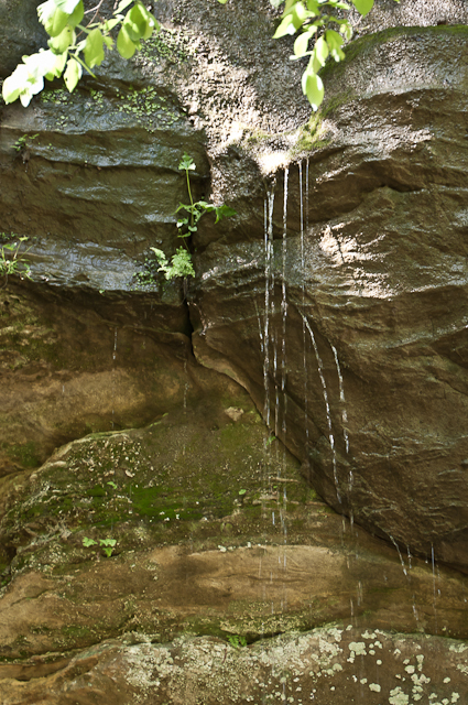 Starved Rock