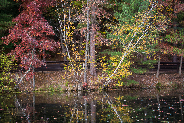 MirrorLake