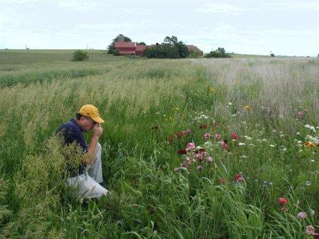 Patrick and wildflowers