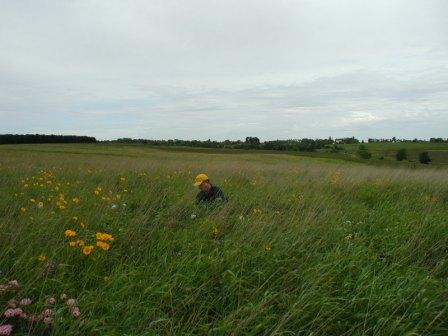 Patrick in field of wildflowers